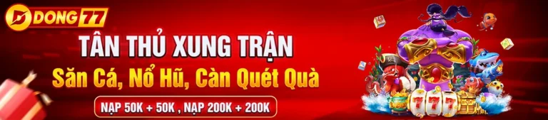 dong777 com
